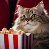 Katze im Kinosessel mit Popcorn