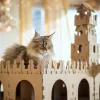 Katze thront auf einem Karton-Schloss