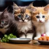 Kätzchen sitzen vor leerem und vollem Napf