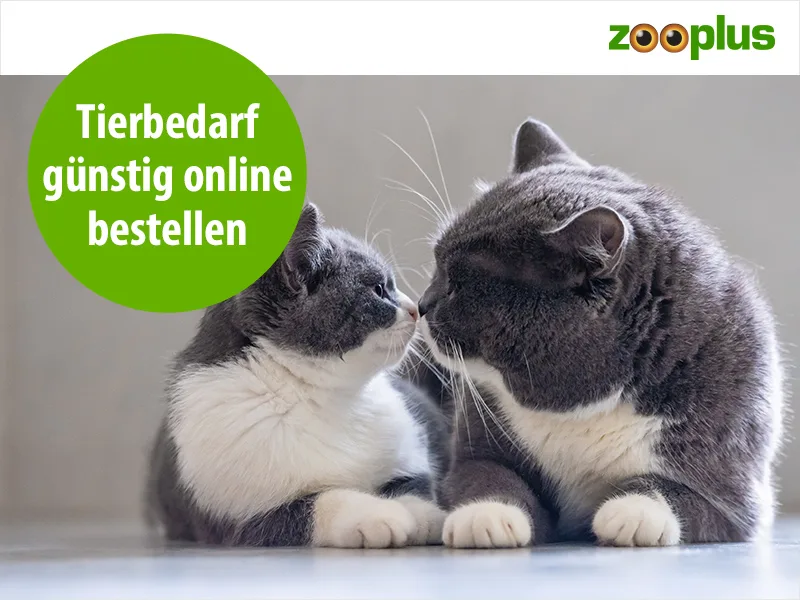 Zooplus Ad