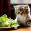 Trauriges Kätzchen vor Salat